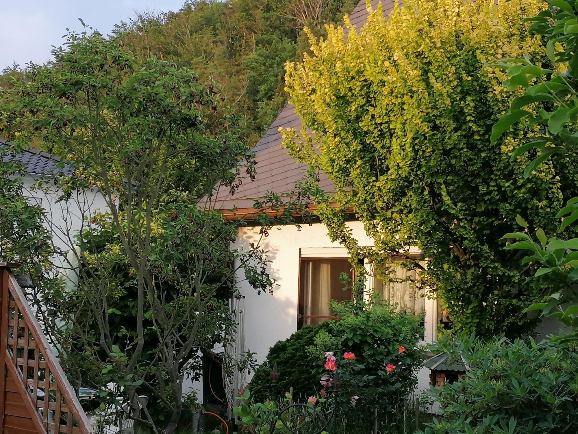 Haus Am Waldrand Apartment Freital